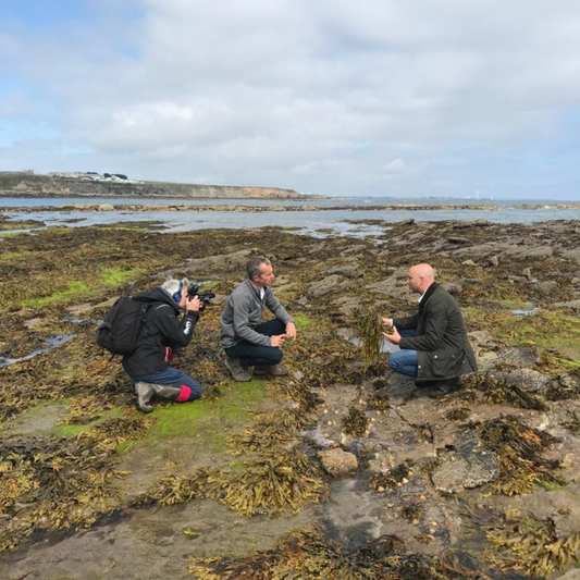 Launch of National Food Strategy – Doctor Seaweed Talks to Sky News About the Need for Seaweed