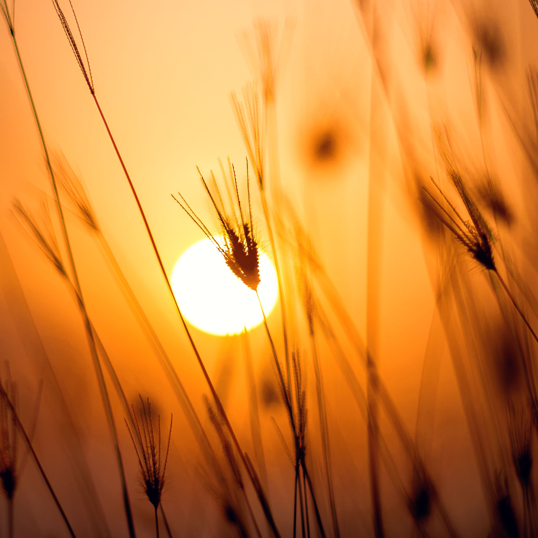 Should We Supplement Vitamin D in Summer?