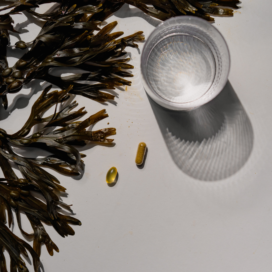 5 Benefits of Adding Seaweed to Your Diet Doctor Seaweed Blog