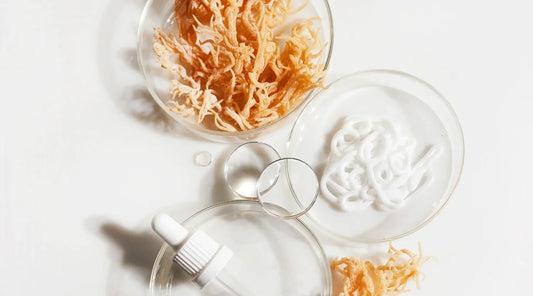 What are the benefits of sea moss?