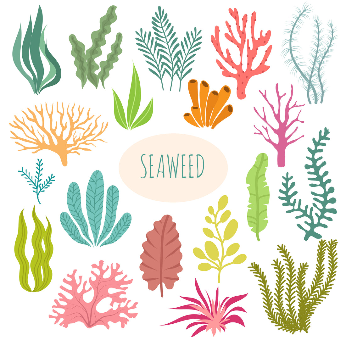 How to be a Smart Seaweed Shopper