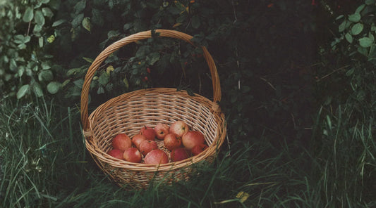 The benefits of seasonal eating - and how to get started