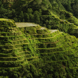 World Earth Day 2022: Small Changes to Make a Big Difference