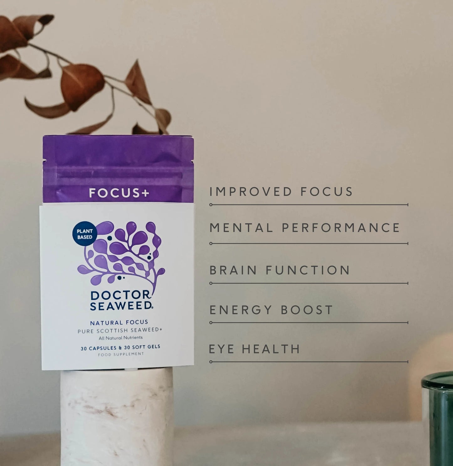 Focus+ – Doctor Seaweed