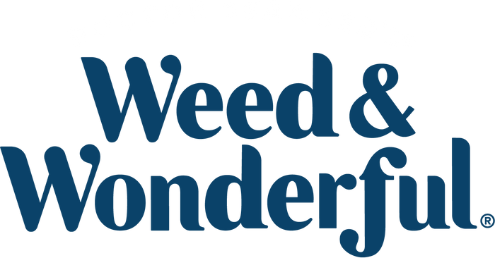 Doctor Seaweed